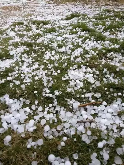 Photo of Dimapur – My Hometow