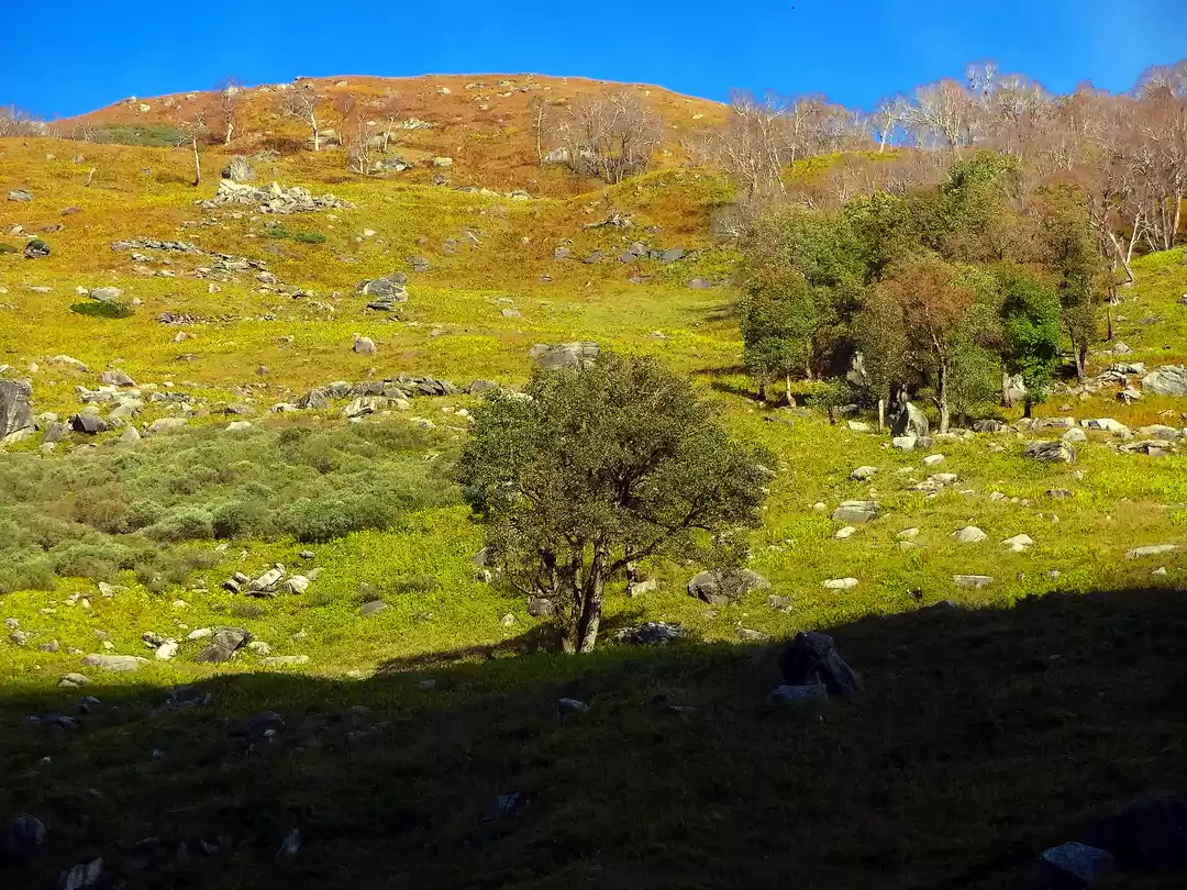 Photo of Hampta Pass Is Perfe