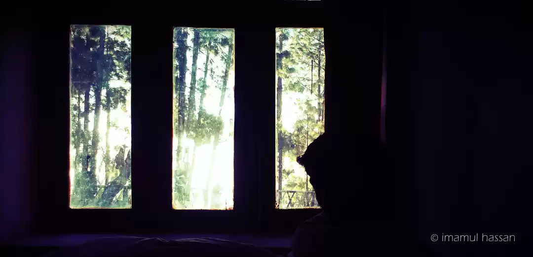 Photo of A Splendid trip to L