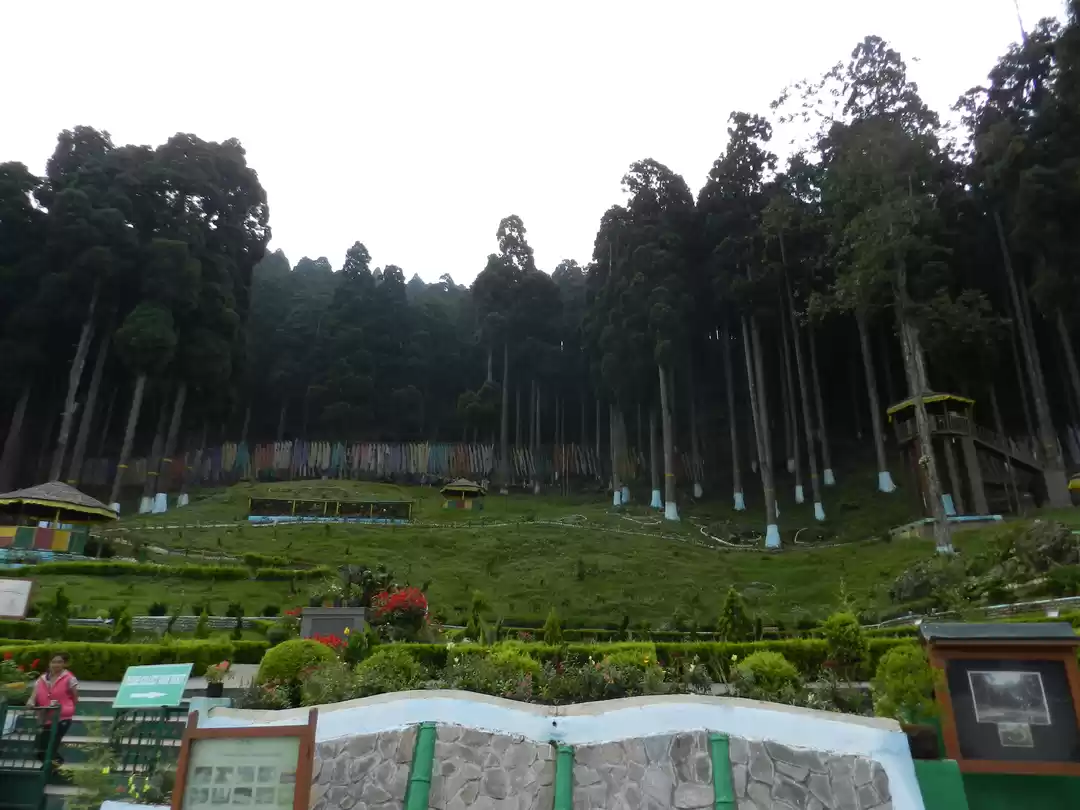Photo of Picturesque Darjeeli