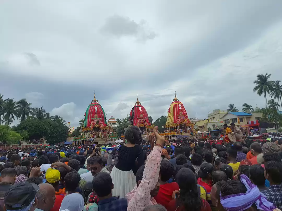 Photo of Some glimpses of Rat