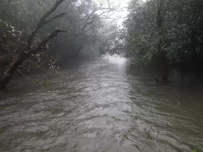 Photo of Siddhgadh – Flash Fl