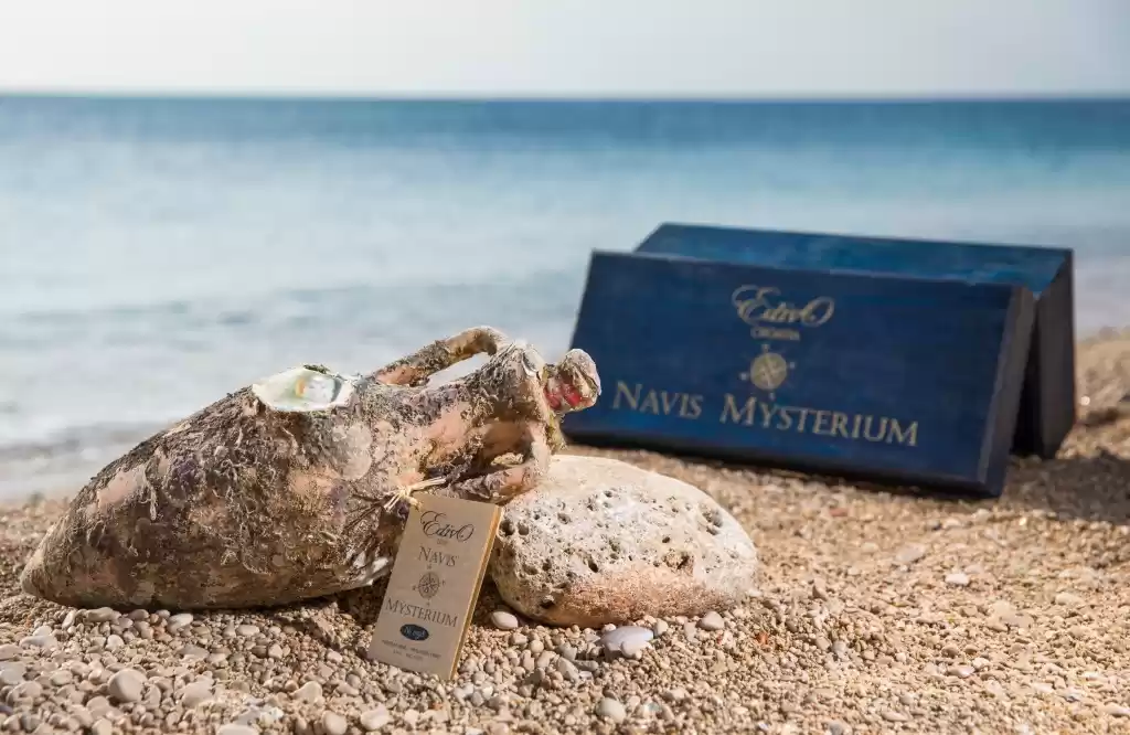 Photo of Edivo Vina Is The Wo