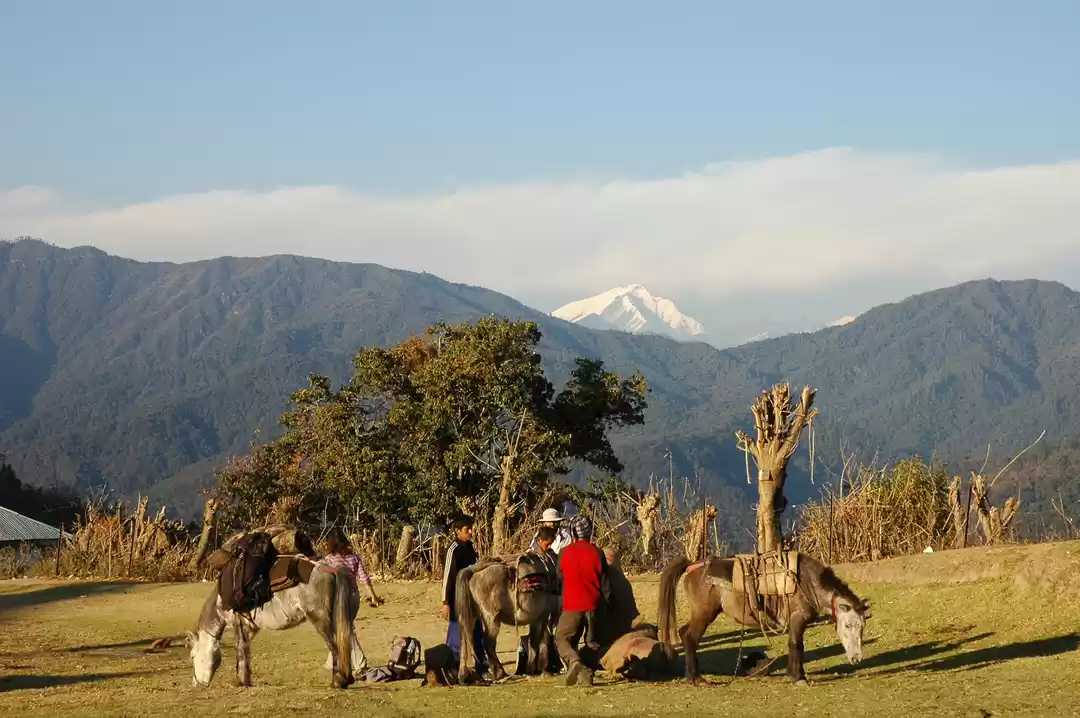 Photo of This Magical Village