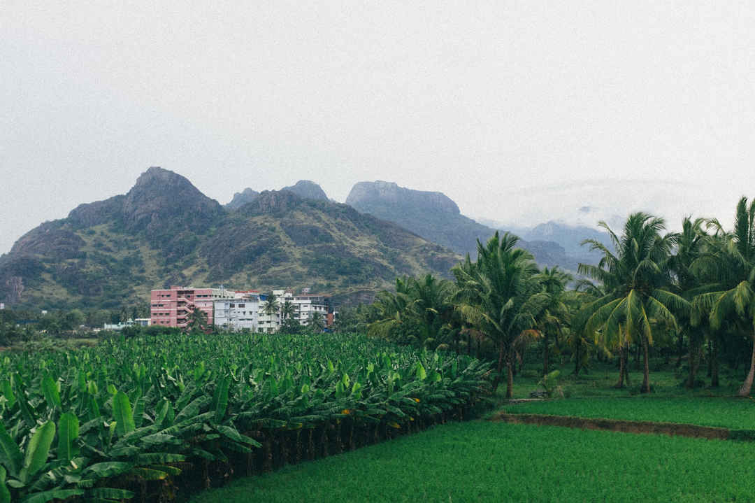 Nagercoil Travel Guide 2021 Best of Nagercoil Tourism Tripoto