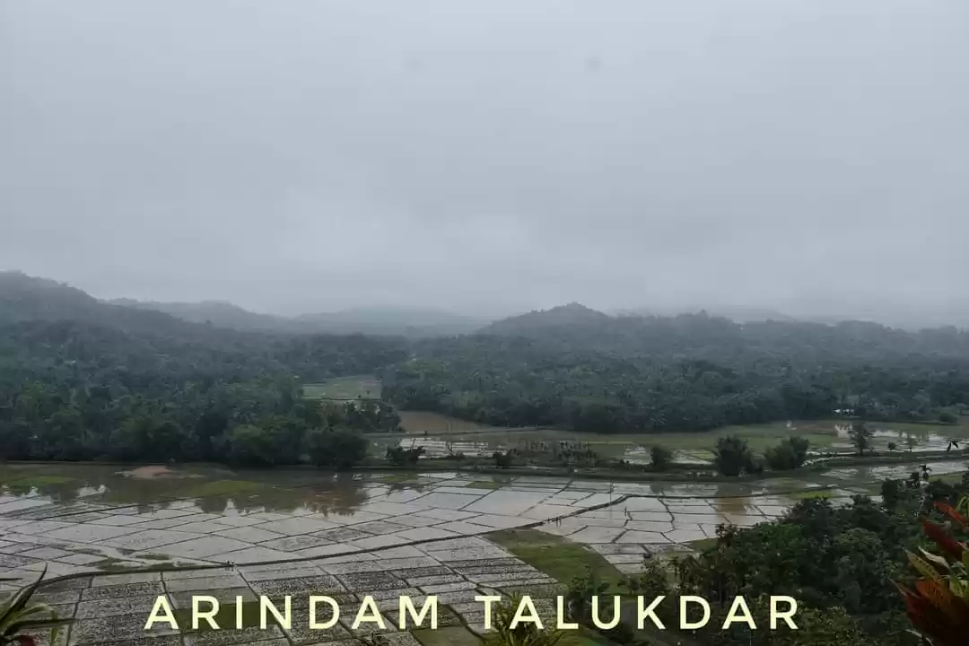 Photo of Through the lenses
A