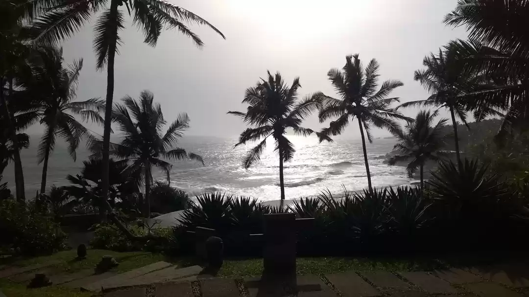 Photo of In Kerela... all you