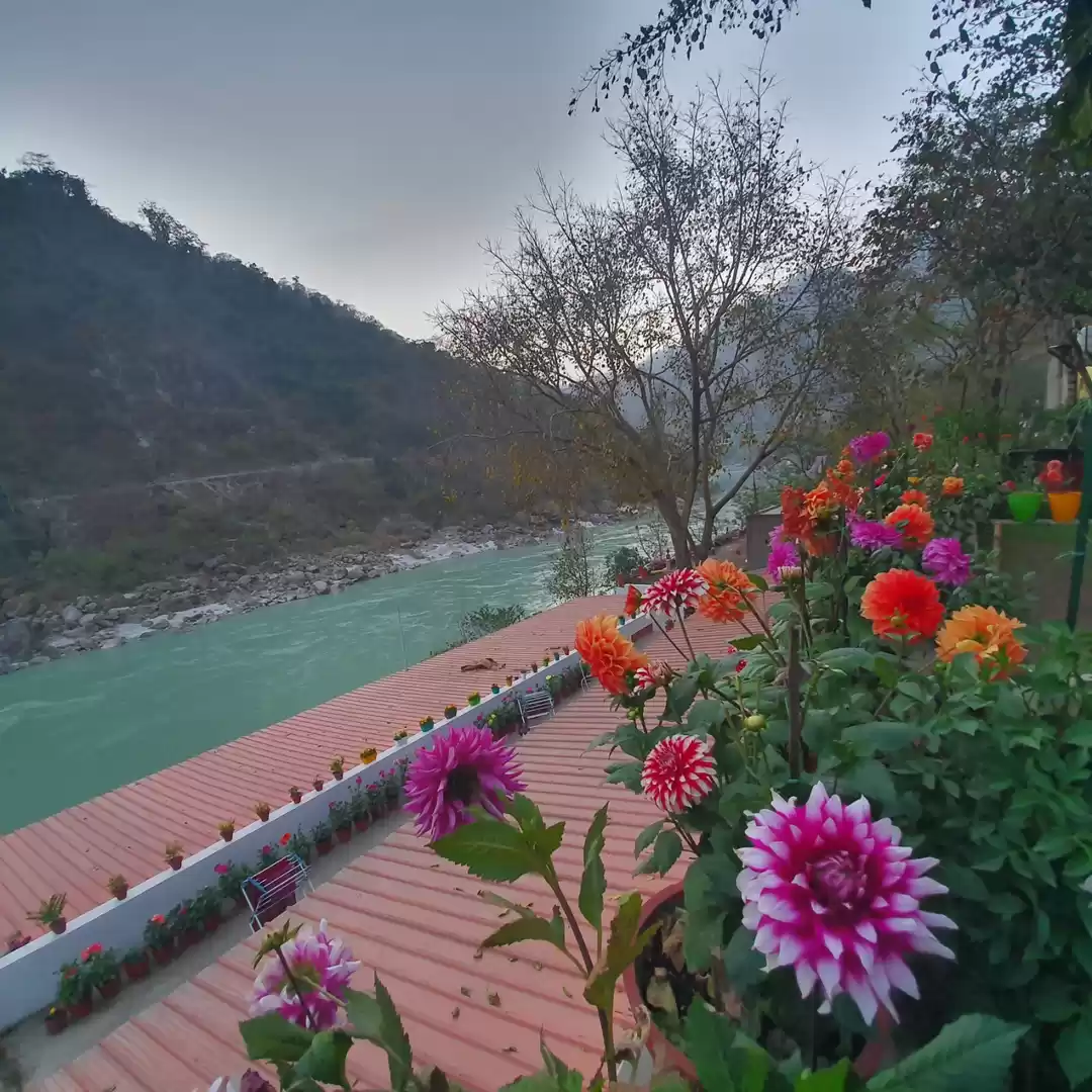 Photo of Colours of nature ..