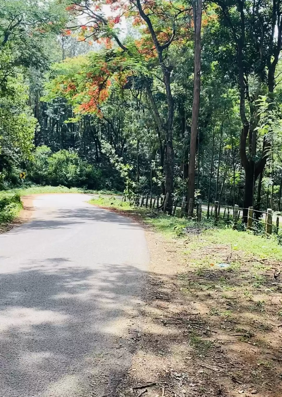 Photo of Road Trip to South 