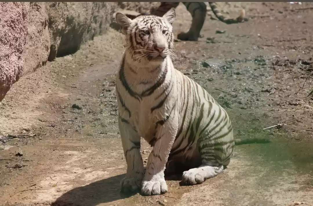 Photo of A Trip to Hyderabad 