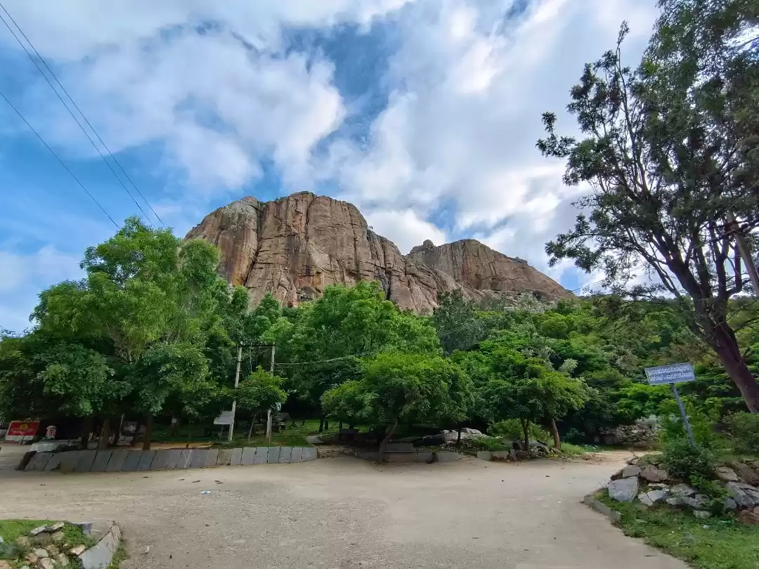 Photo of The stunning view of