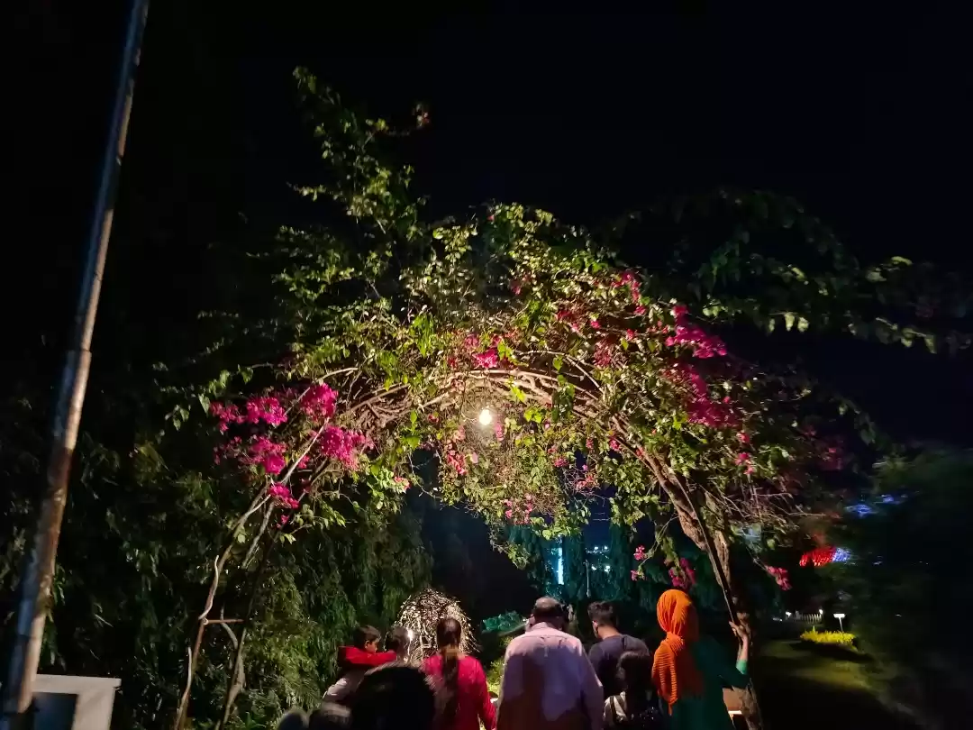 Photo of Floral night in Brin
