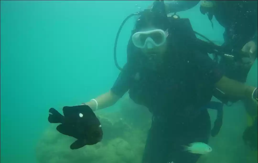 Photo of The world of NEIL IS