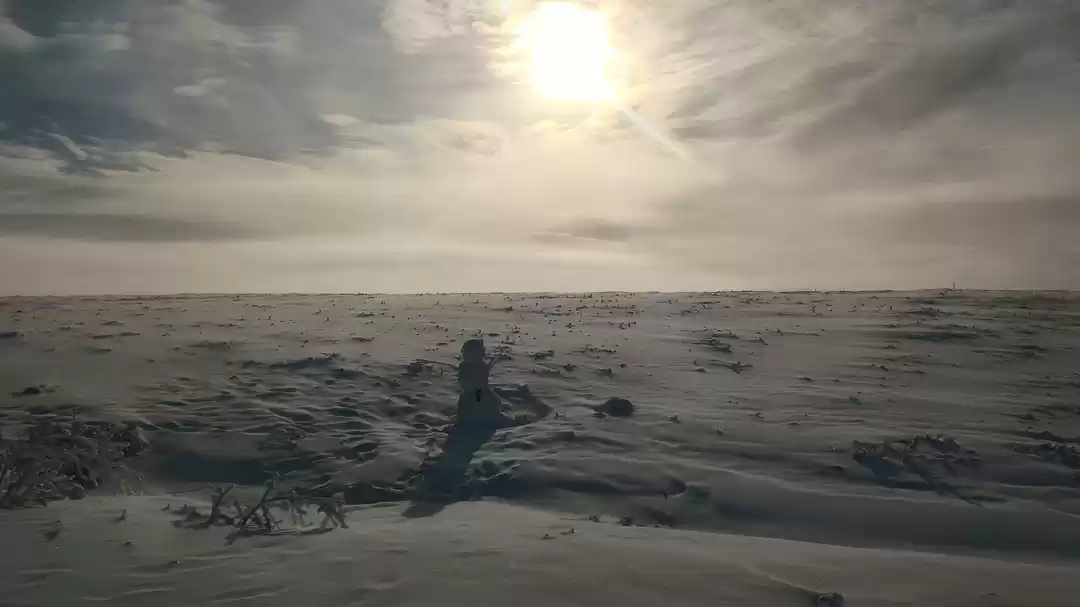 Photo of The Last Road North: