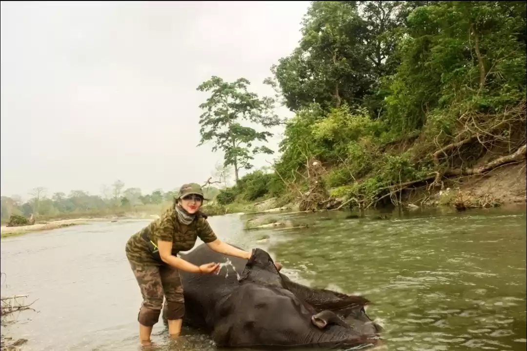 Photo of Gorumara national pa