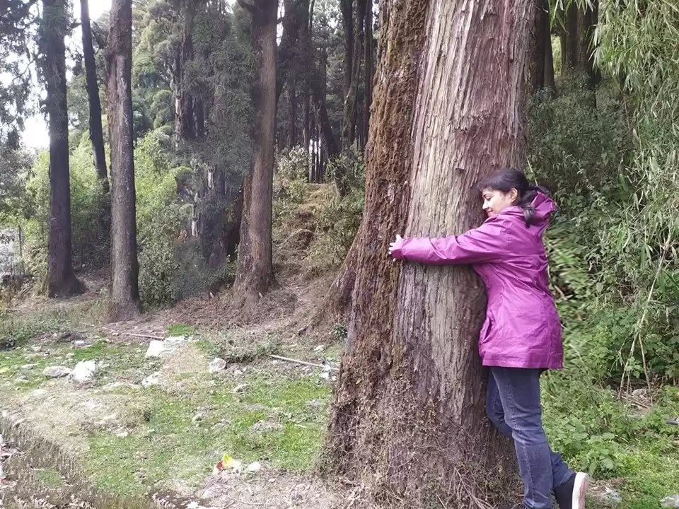 Photo of Lepcha jagat