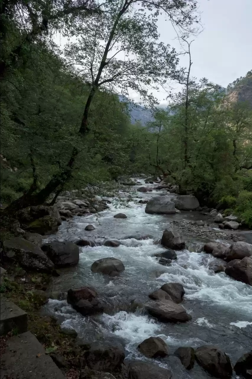 Photo of Mind-blowing mandal 