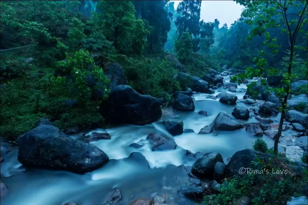 Photo of Rongo,kalimpong, wes