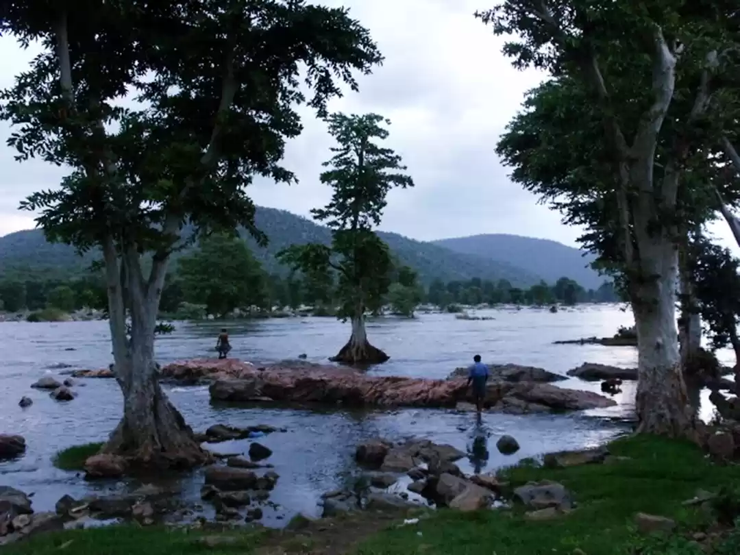 Photo of Hipnotizing Hogenakk