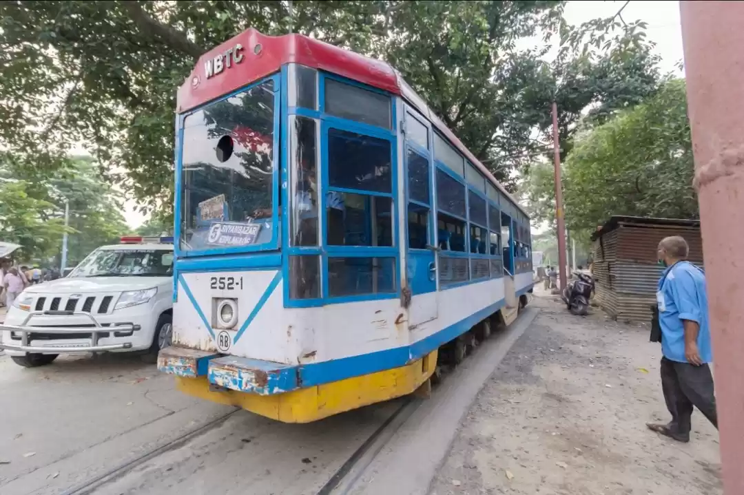 Photo of Classy and compassio