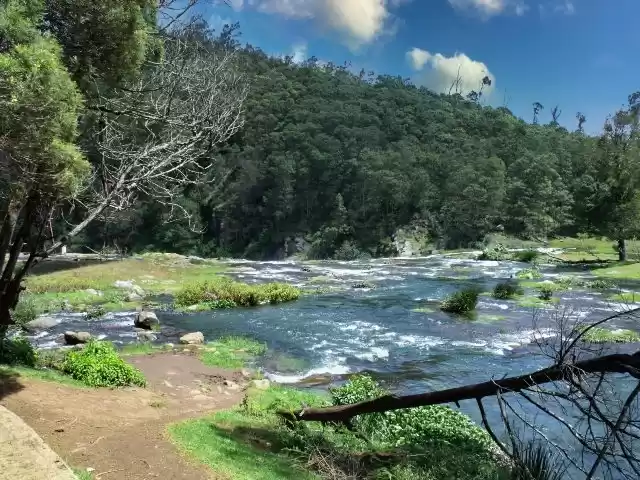 Photo of Outstanding otty