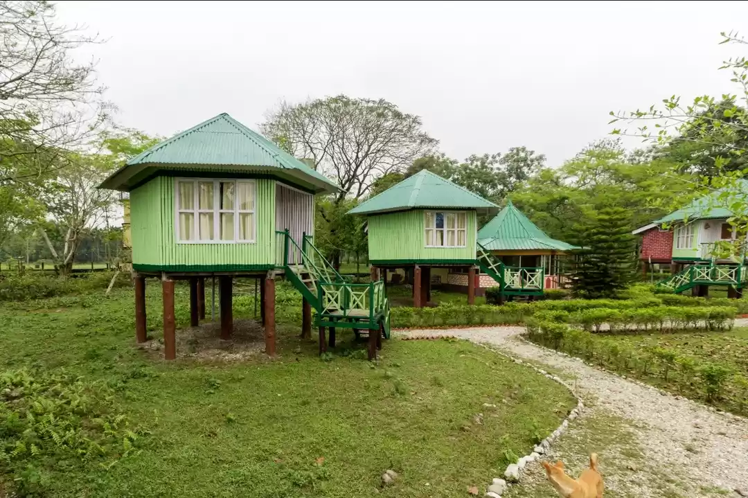 Photo of Dashing dhoopjhor