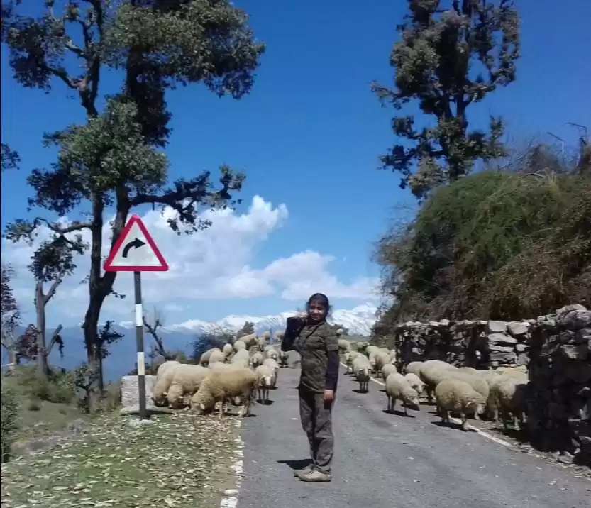 Photo of Divine duggal bitta