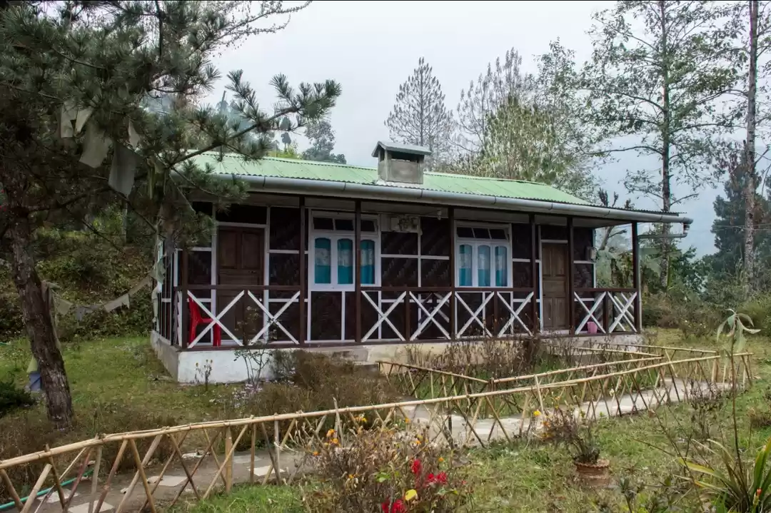 Photo of Phenomenal palmajua