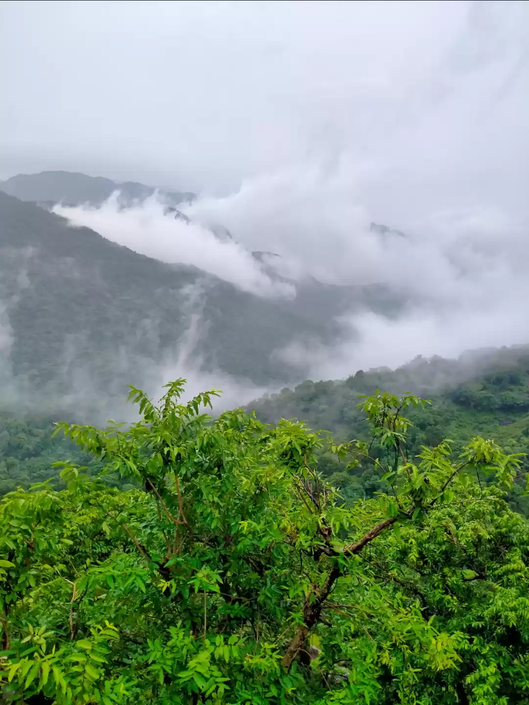 Photo of Guru Shikhar Hill Mo