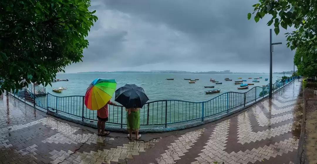 Photo of मध्य प्रदेश में मानस