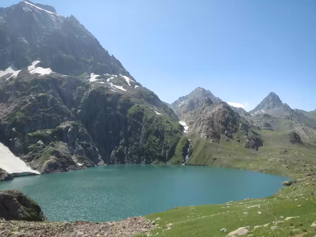 Photo of The Enigmatic Great 