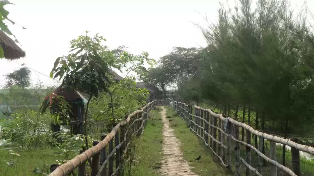 Photo of A weekend in Sundarb