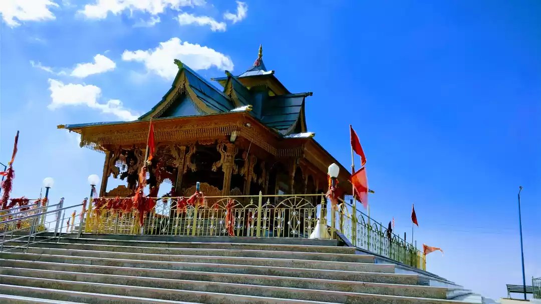 Photo of Two Wandering Souls 