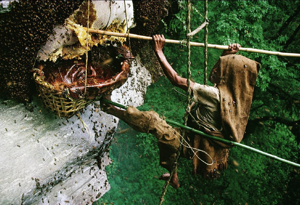 Photo of Mad honey trek in ne