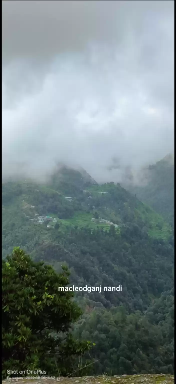 Photo of Surprise trip