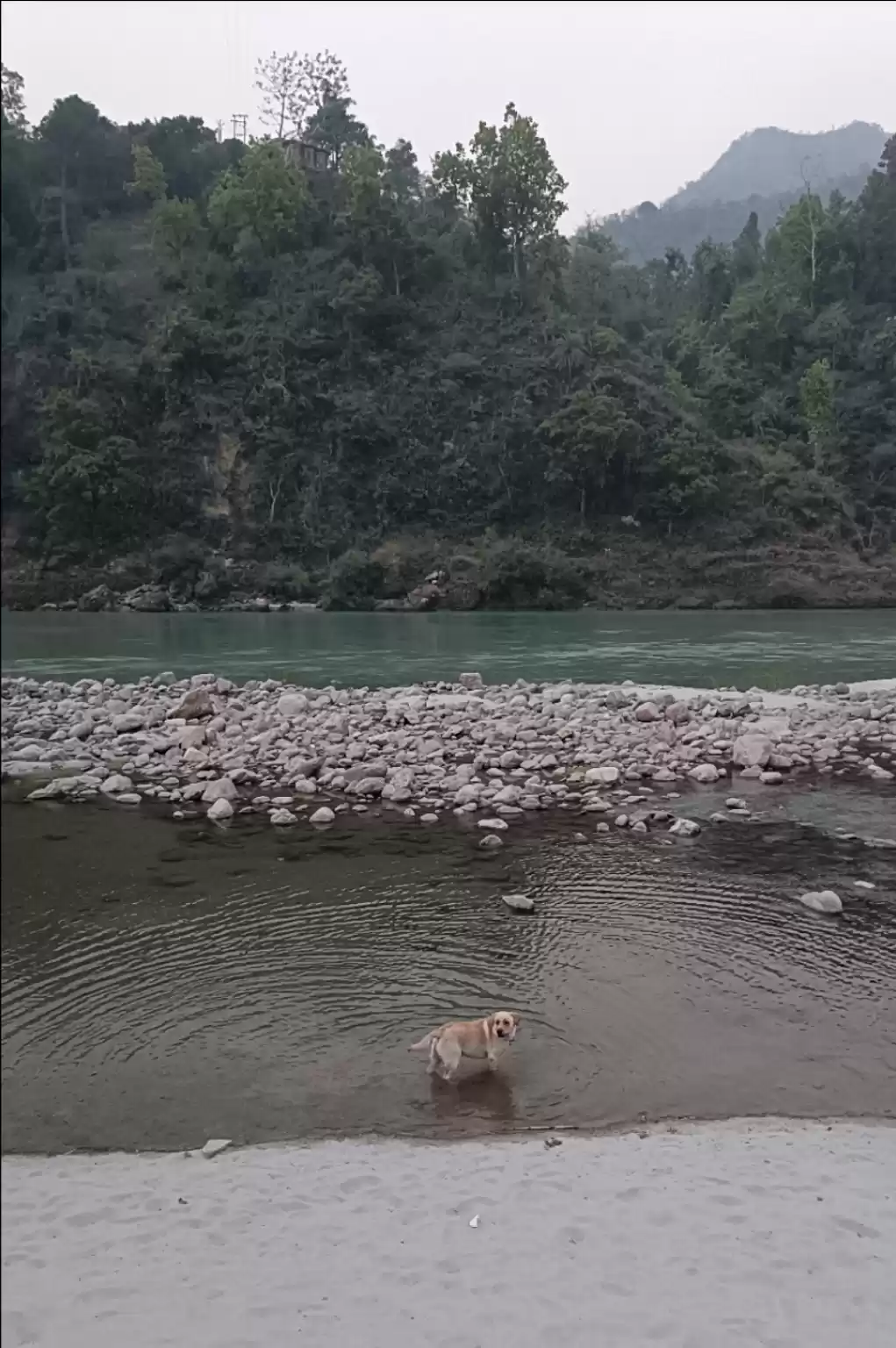 Photo of On our way to Shivpu