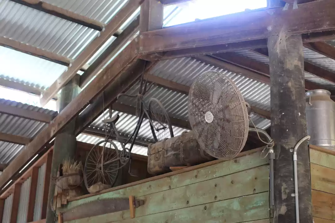 Photo of The Lucky Country: A