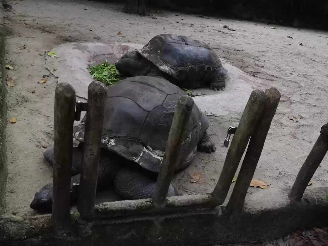 Photo of Why Singapore is Sup