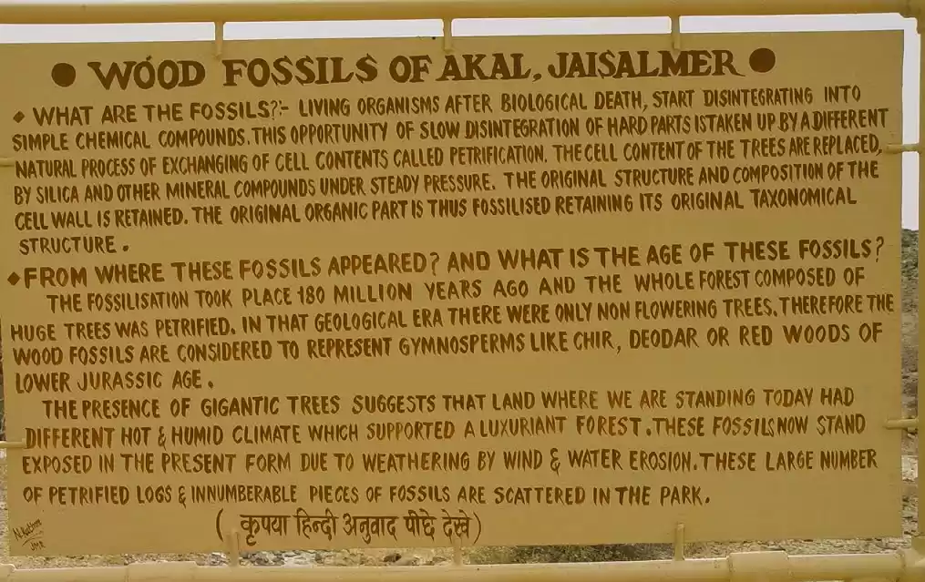 Photo of Into the Jurassic Wo