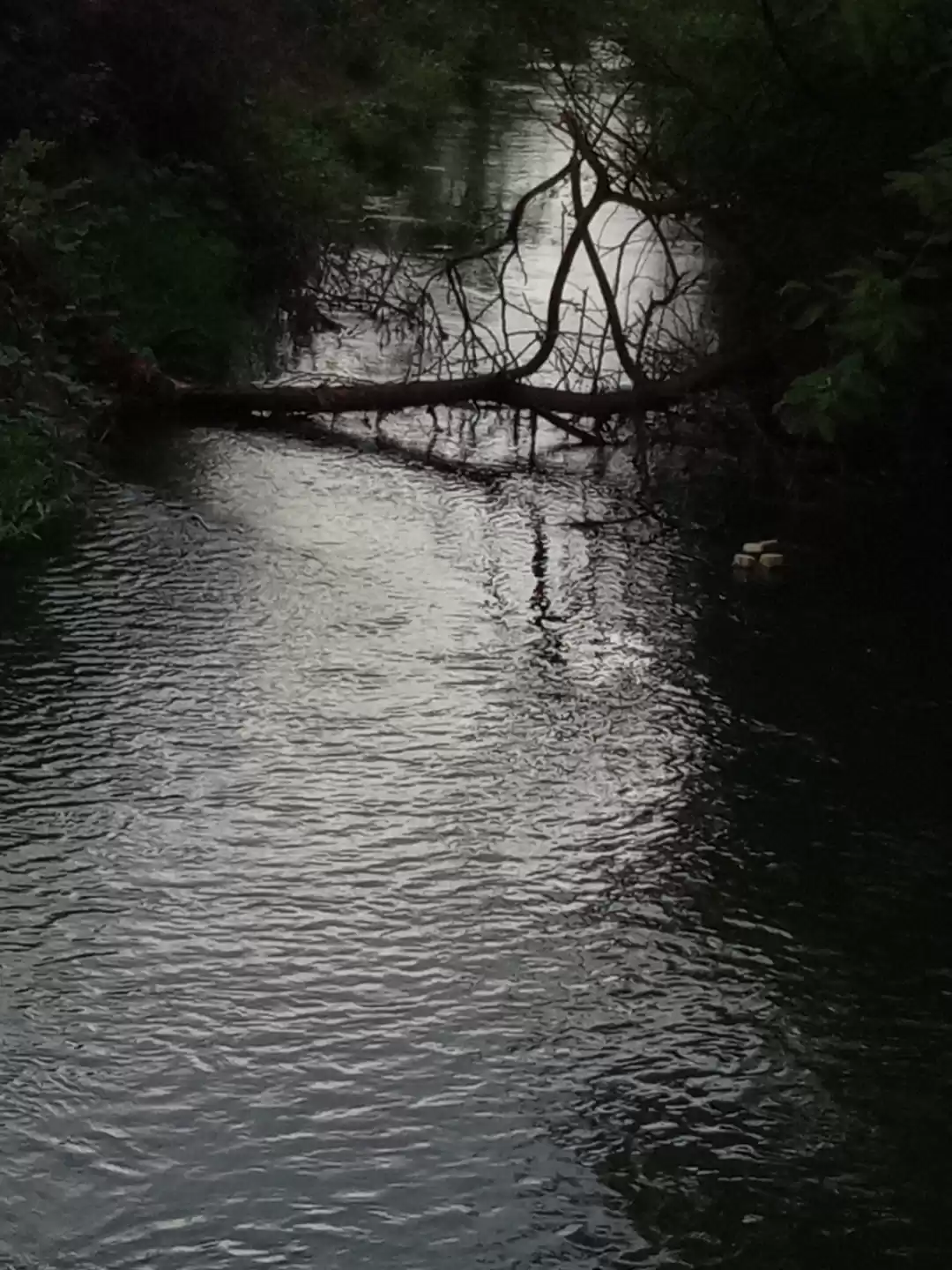 Photo of scenic pic of small 