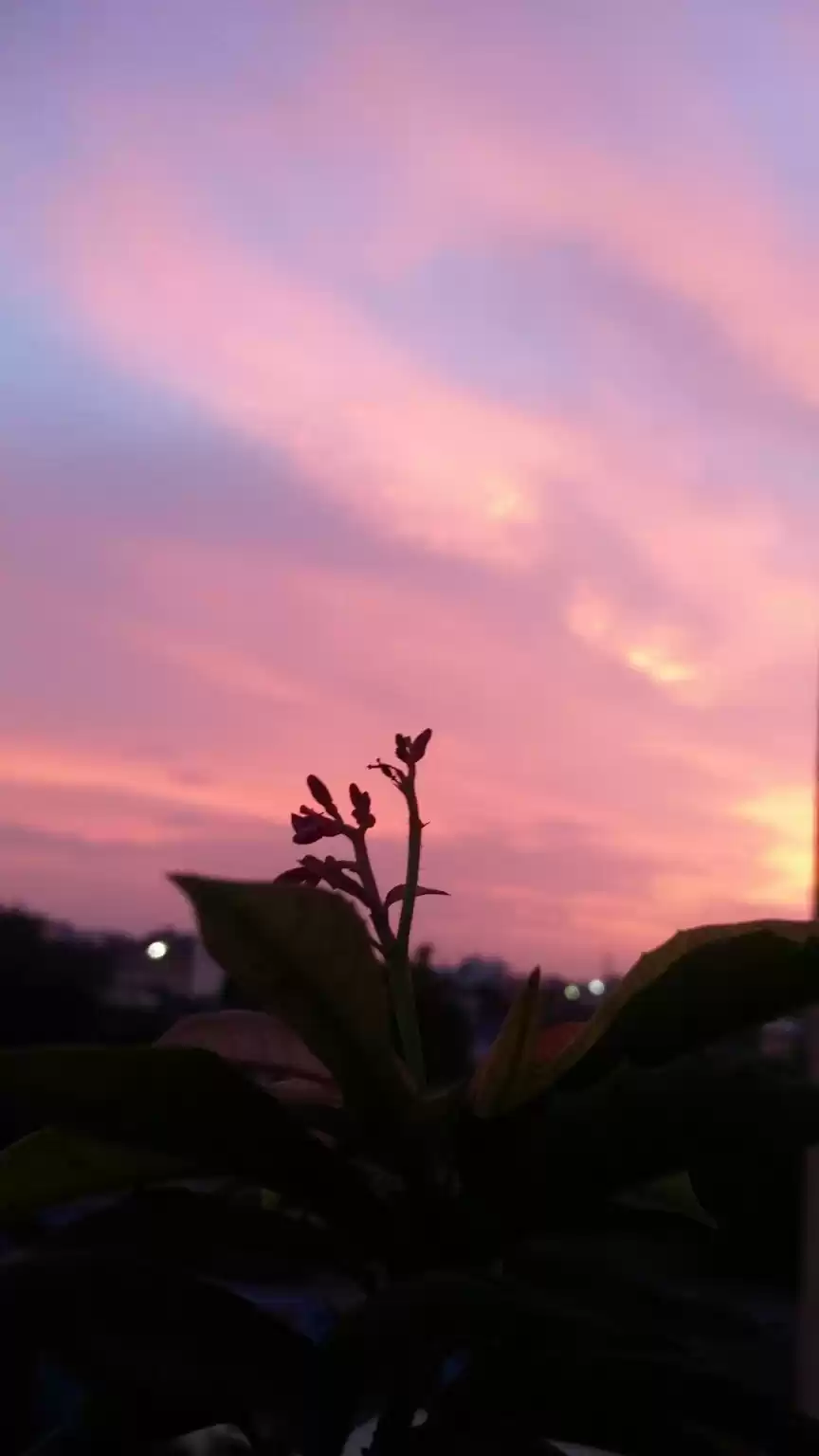 Photo of Falling for nature