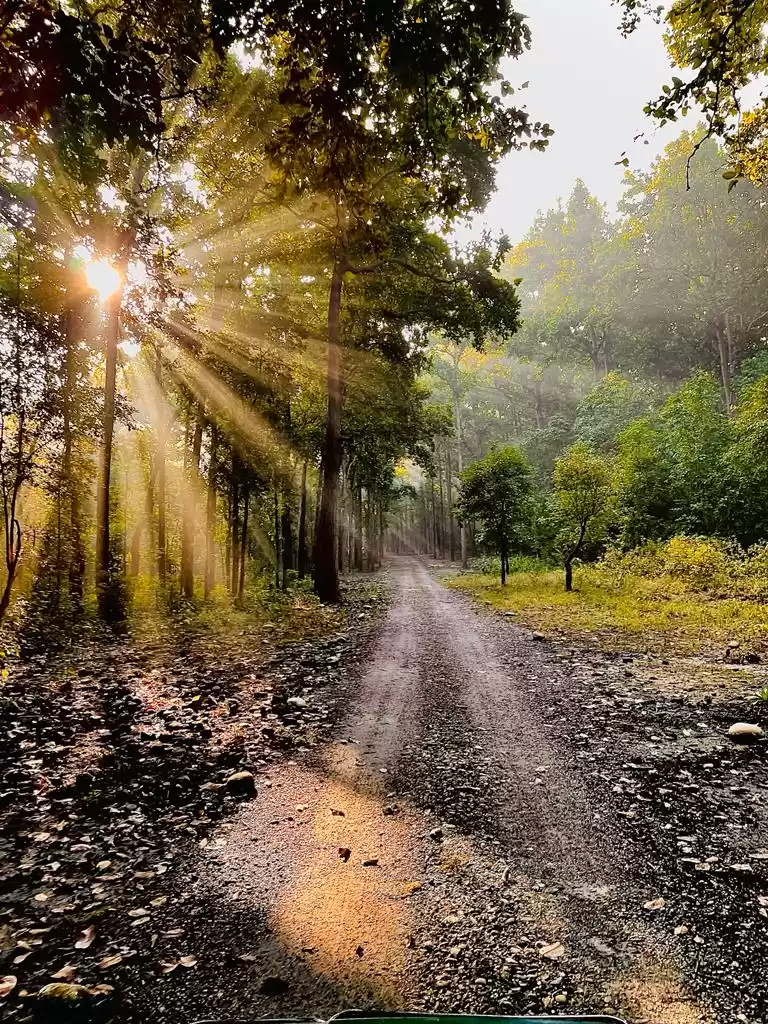 Photo of Escapade: Making the