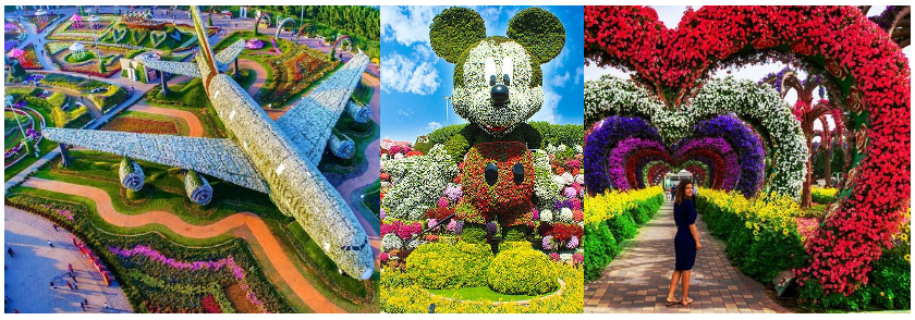 Photo of Dubai Miracle Garden