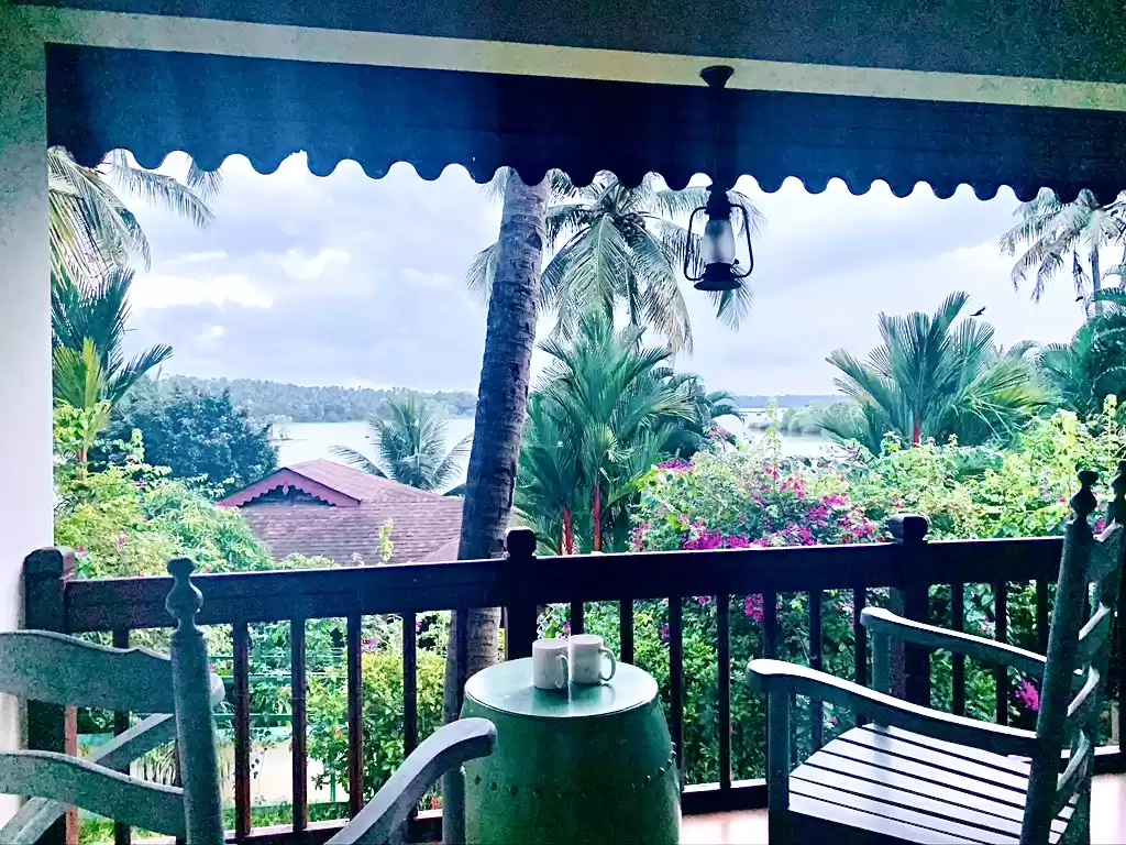 Photo of Family friendly wee