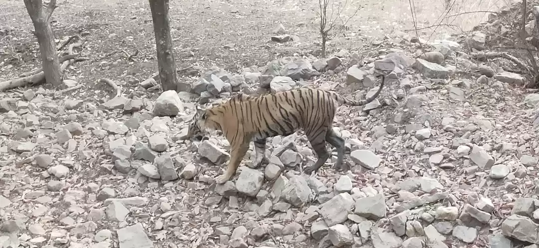 Photo of A trip to THE LAND O