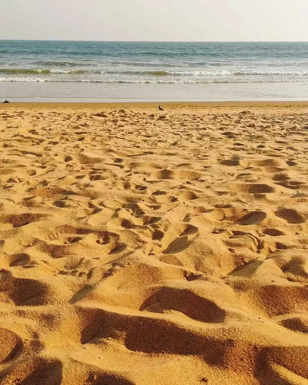 Photo of Beach-y Stories