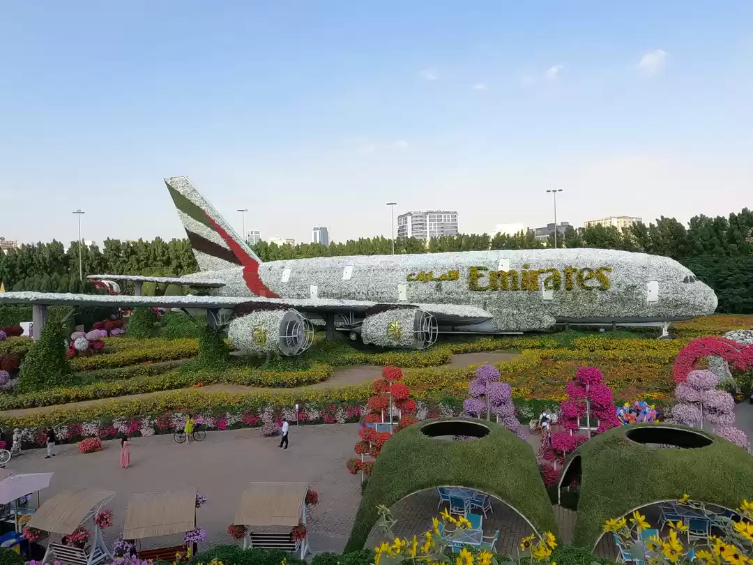 Photo of DUBAI MIRACLE GARDEN