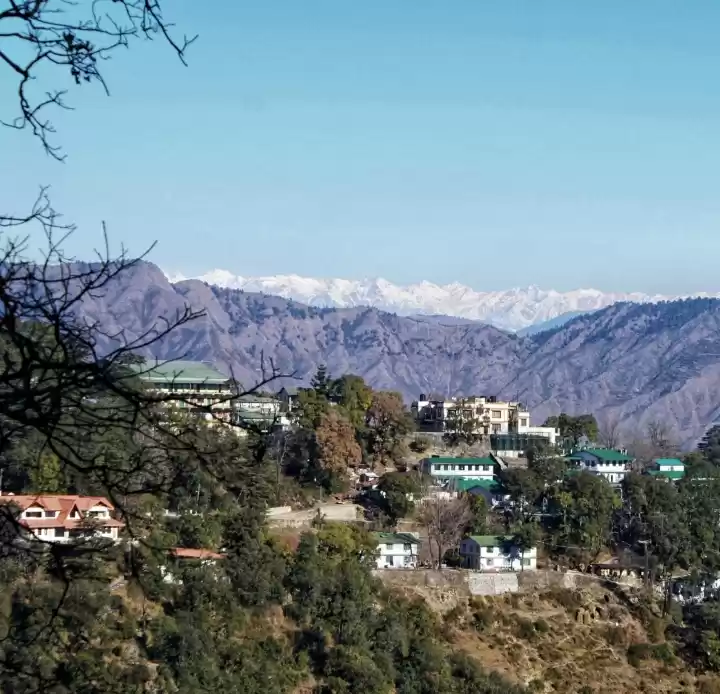 Photo of Pauri