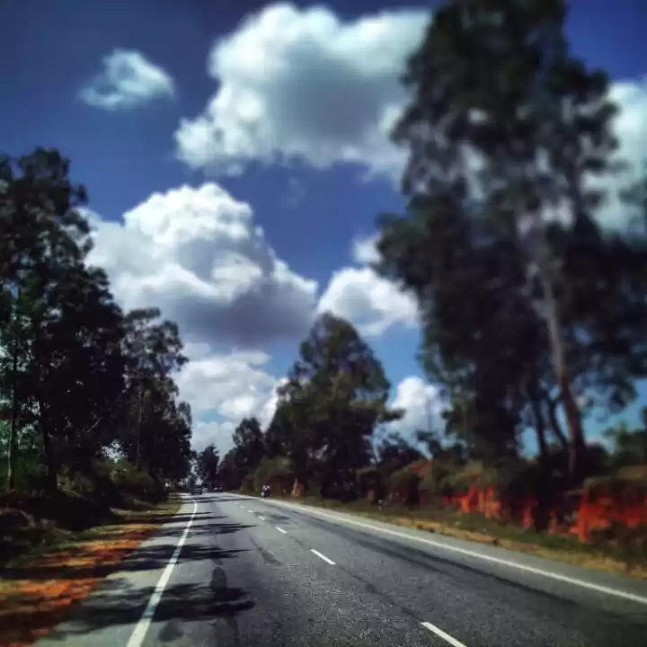 Photo of Coorg: Spice up your