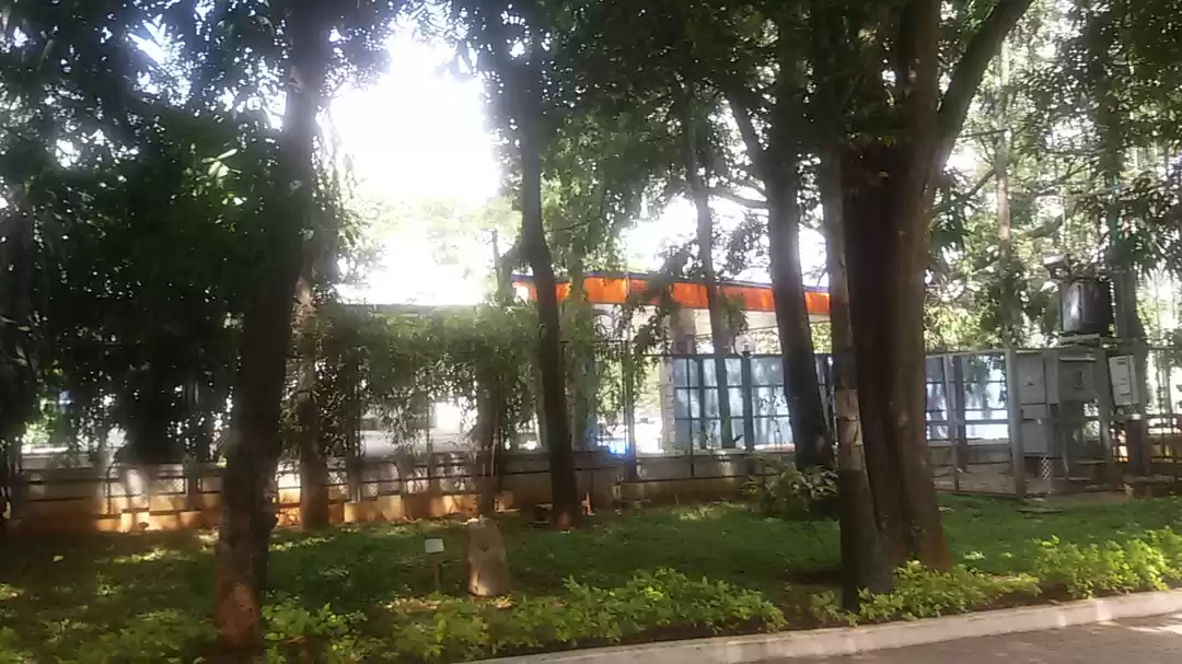 Photo of A day in the garden